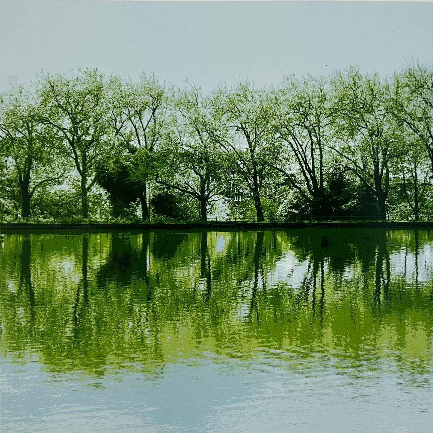 Rythmic Reflections