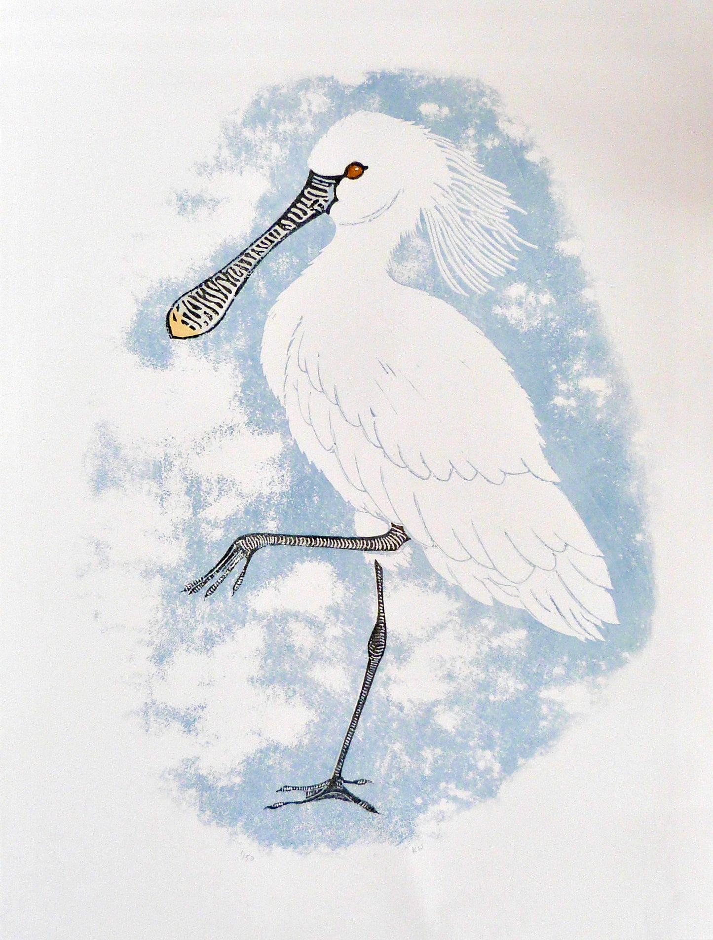 Spoonbill