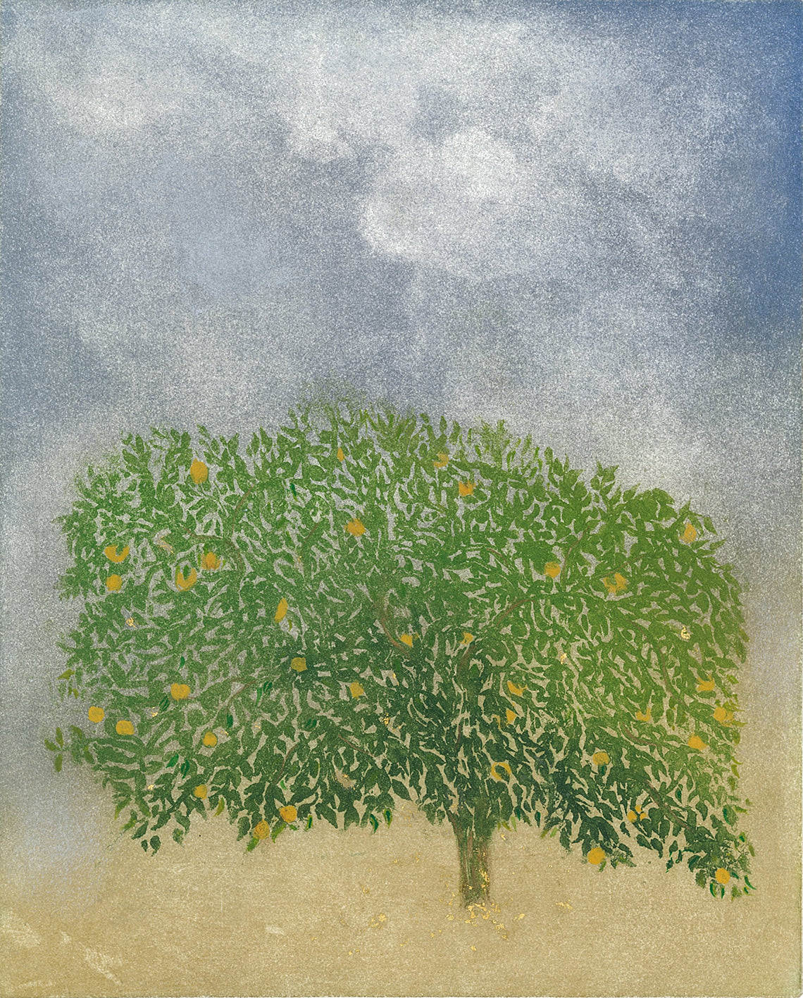 Orange Tree