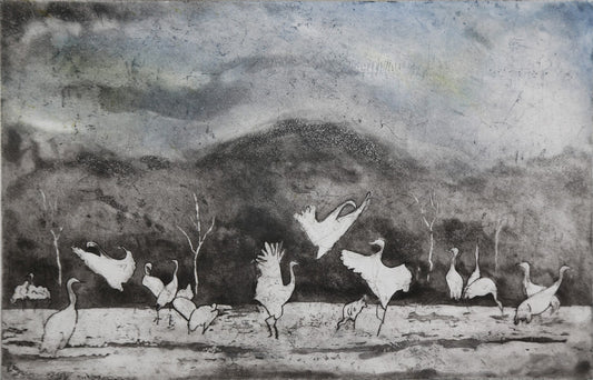 Dancing Cranes