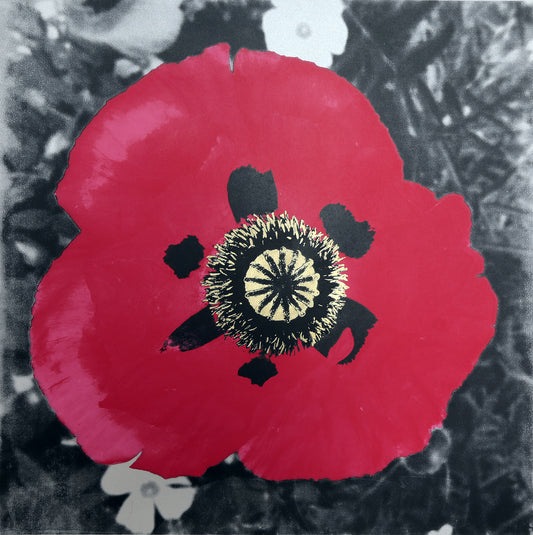 Poppy (first Edition)