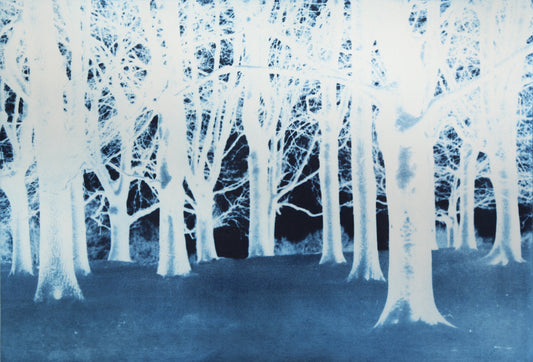 Ghost - Prussian Blue Variation