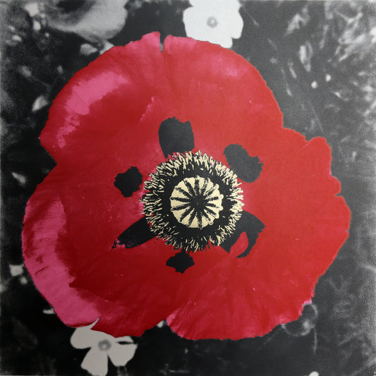 Poppy (first Edition)