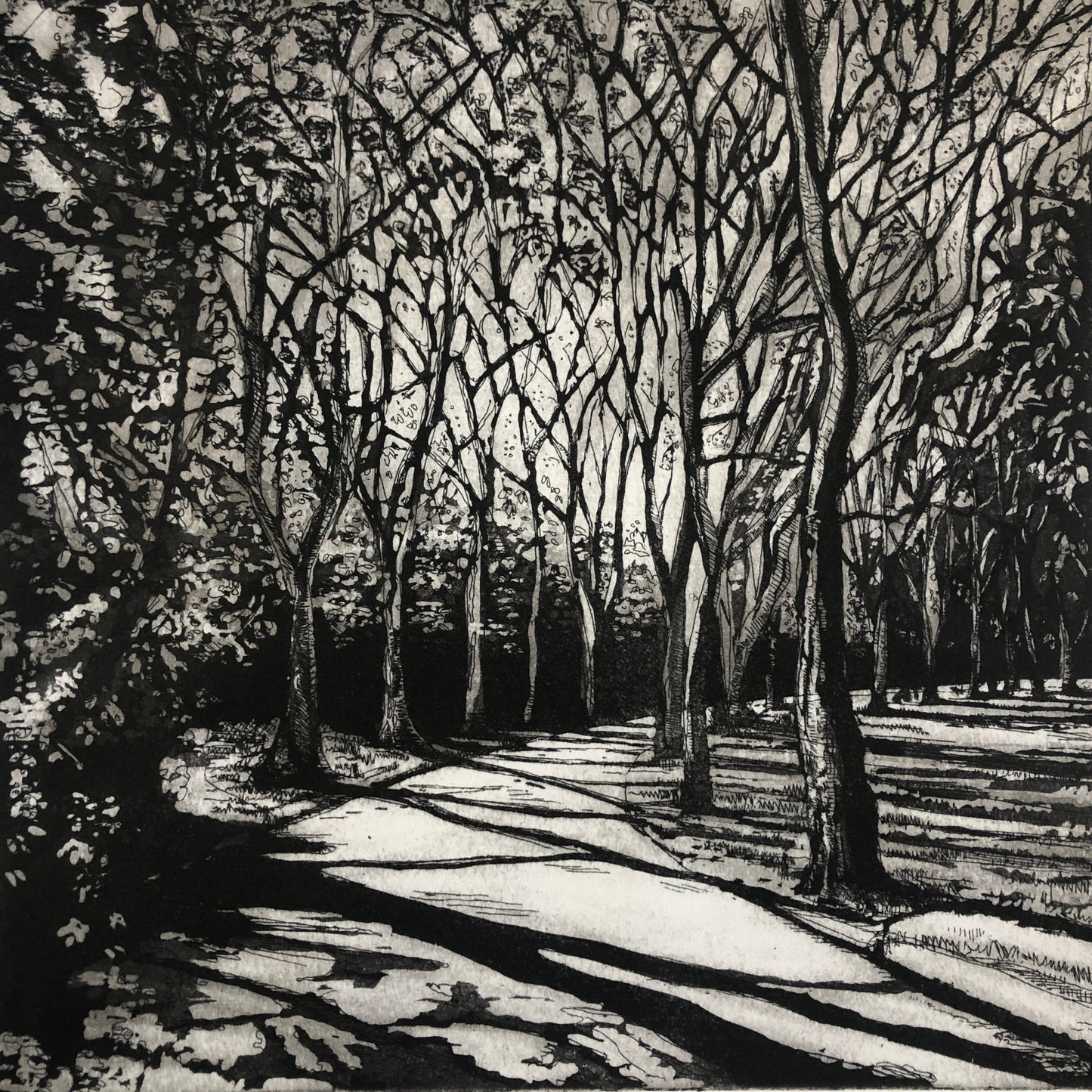 Avenue of Trees