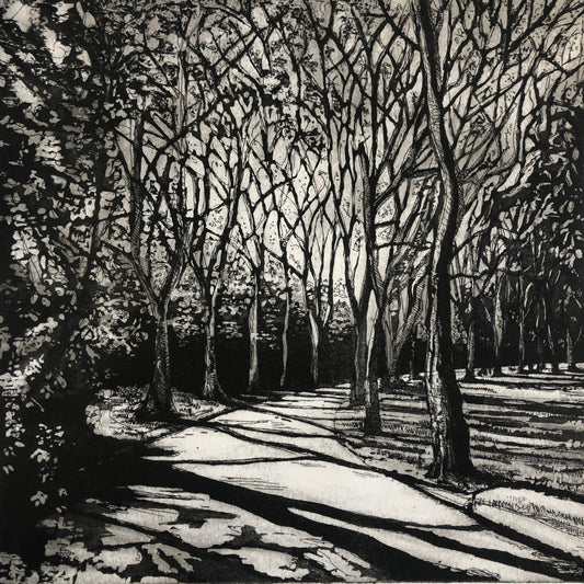 Avenue of Trees