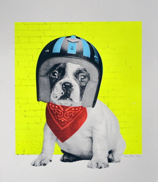Easy Rider