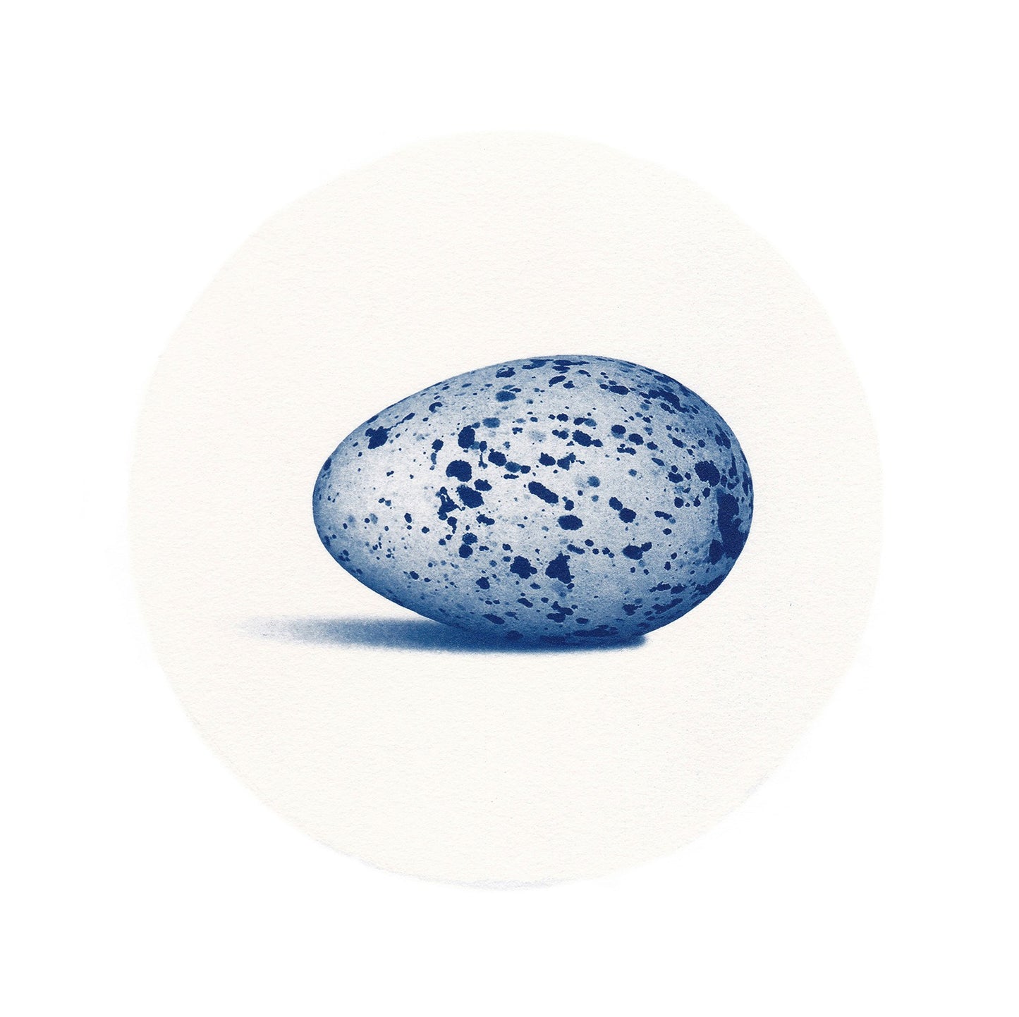 Egg