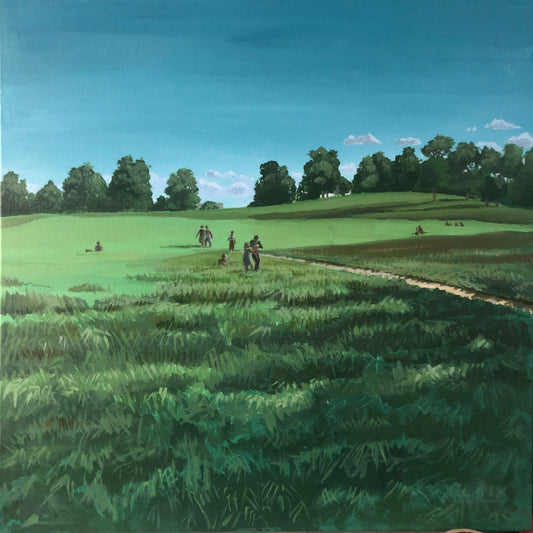 Heath Summer Meadow