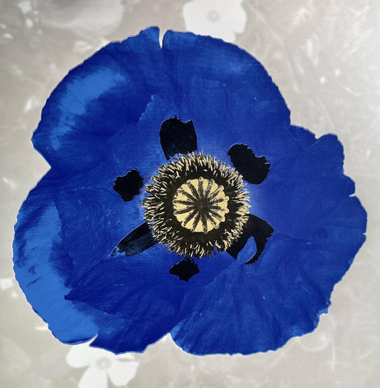 Poppy on Silver