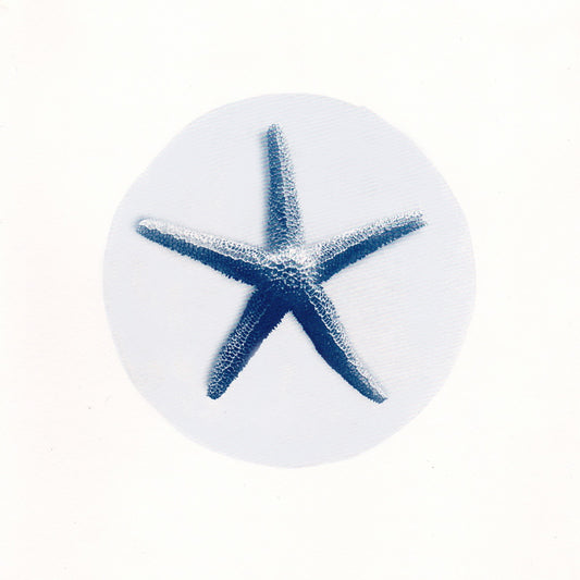 Starfish on Pale Black