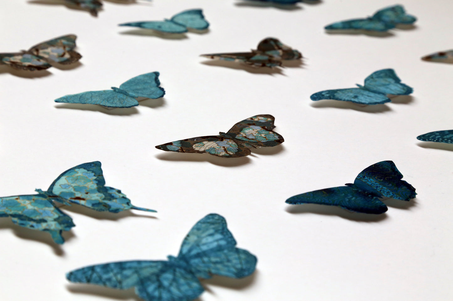 Twenty genuinely superb blue specimens - Variation III