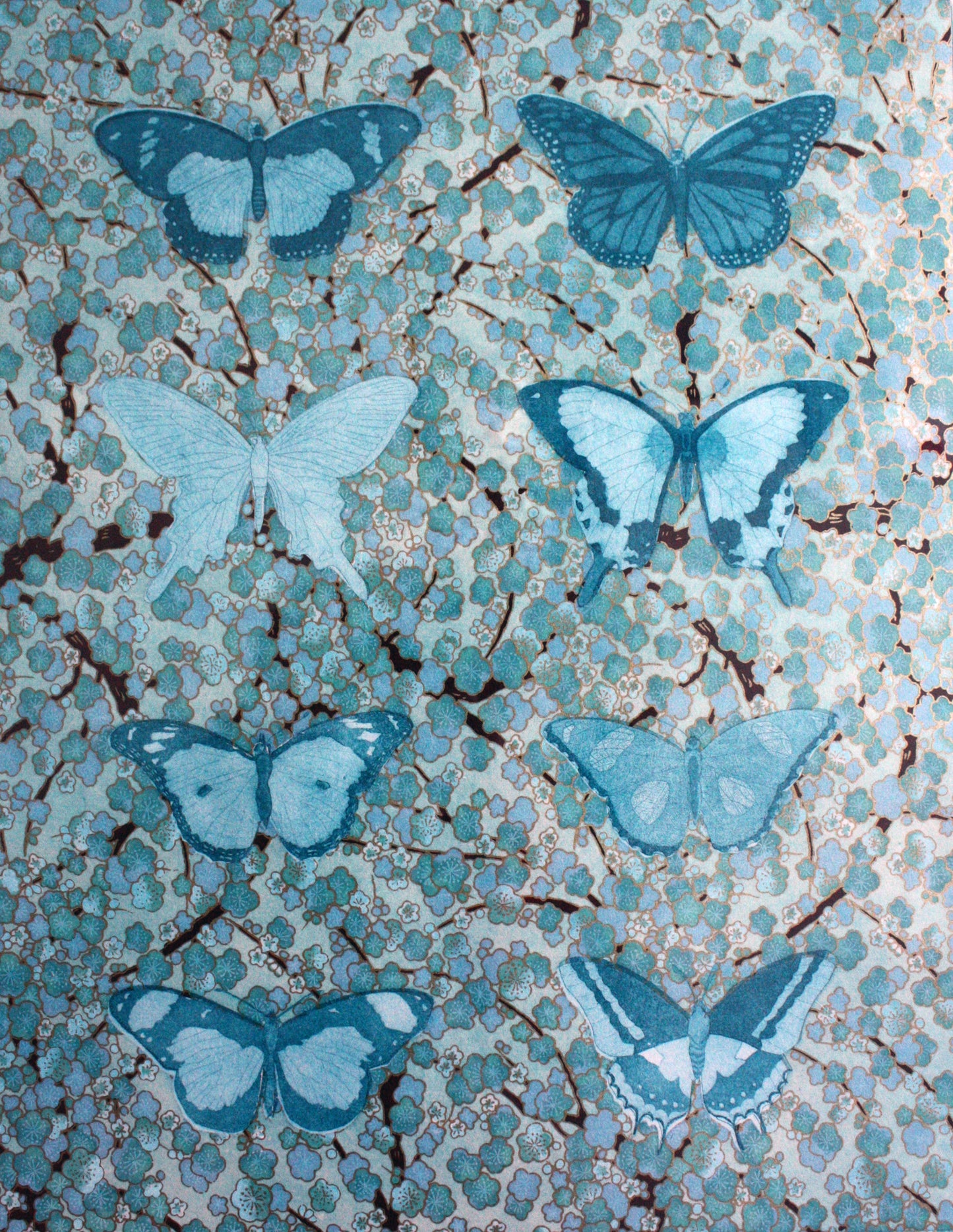 Lepidoptera, Light Blue