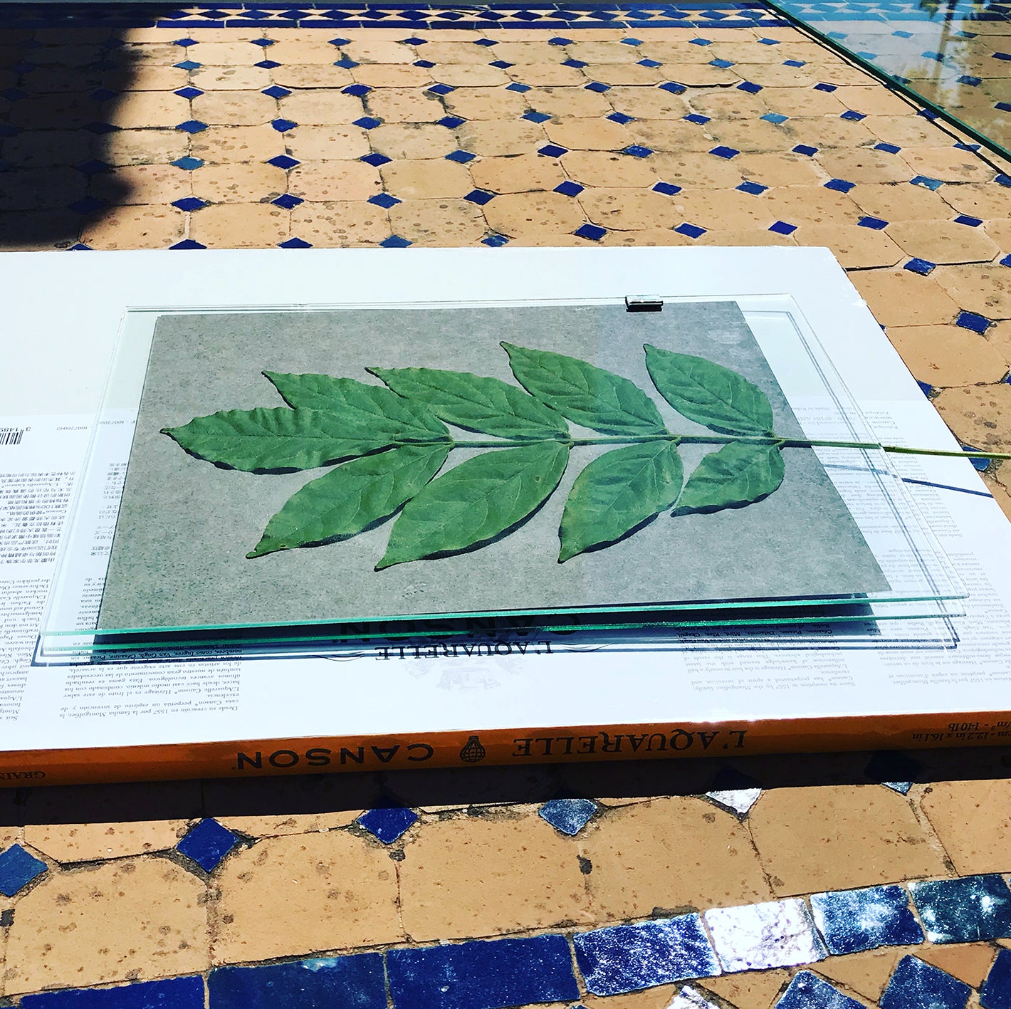 Cyanotypes and Photography