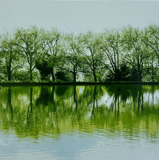 Rythmic Reflections