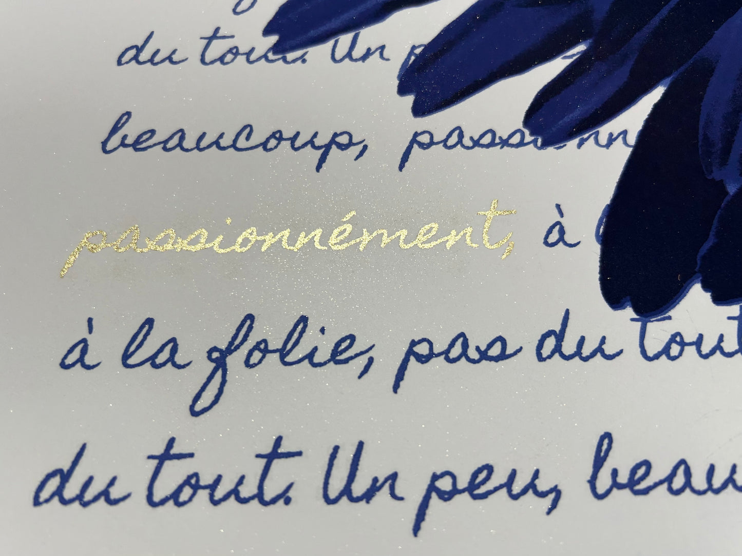 Passionnément, A La Folie