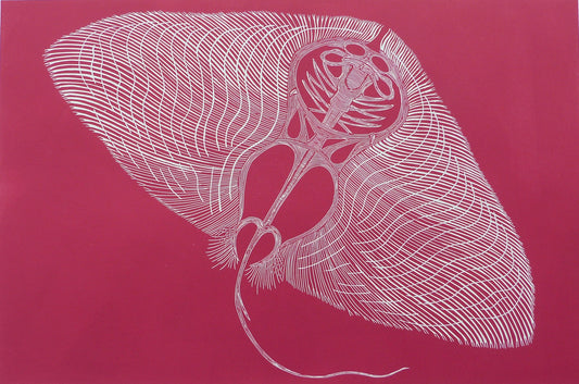 Butterfly Ray