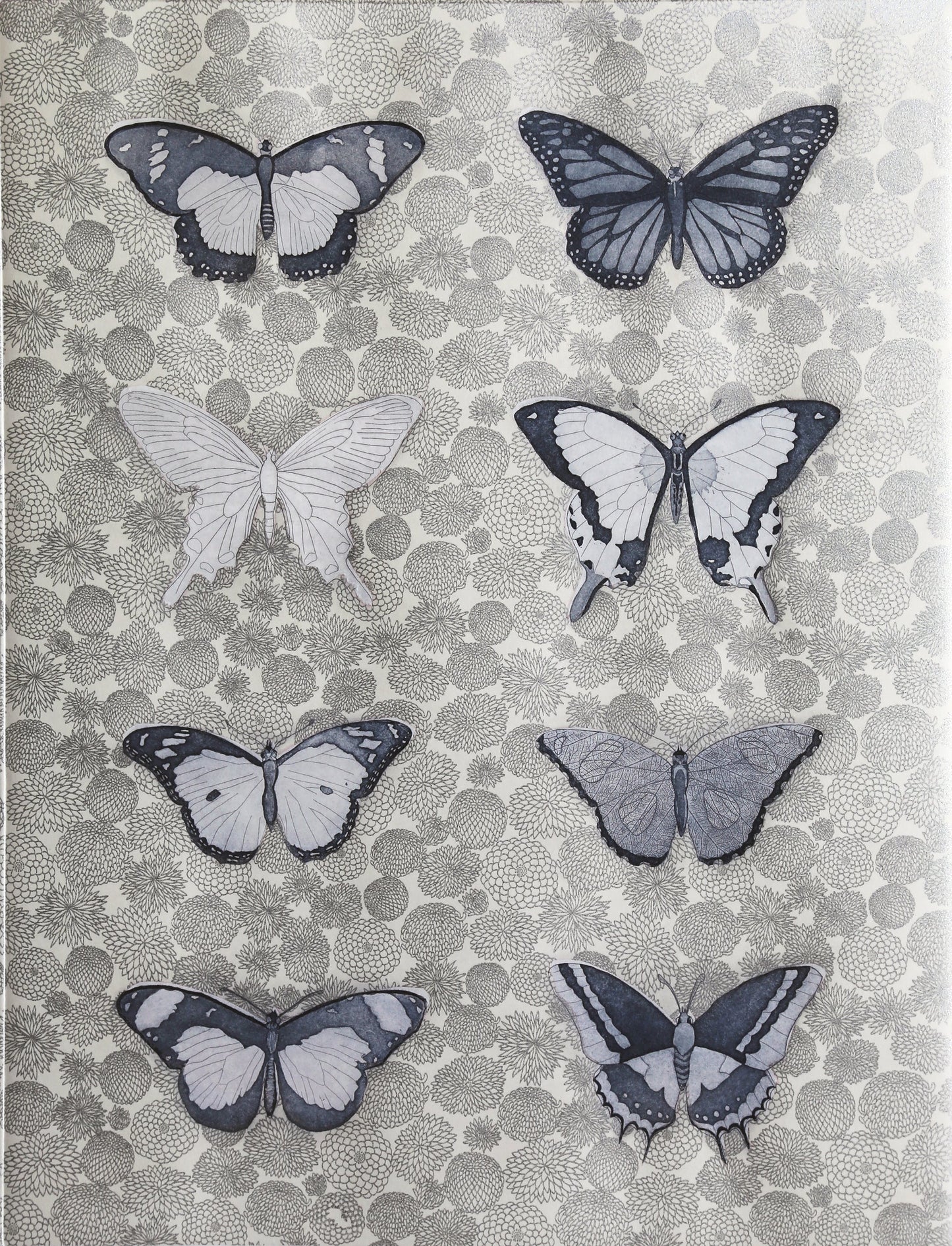 Lepidoptera, Silver