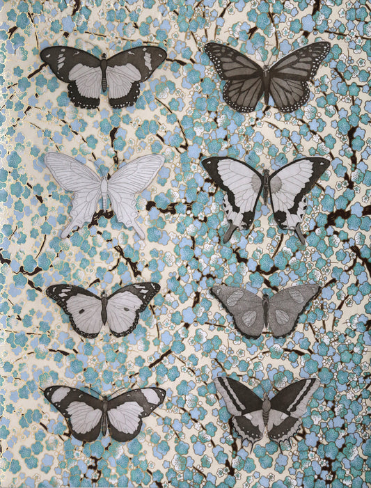 Lepidoptera, Light Blue and Sepia